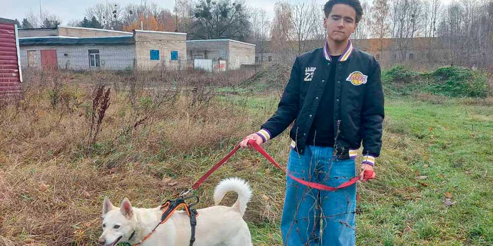 Вместе — безопаснее: объединяем усилия против проблемы бродячих животных